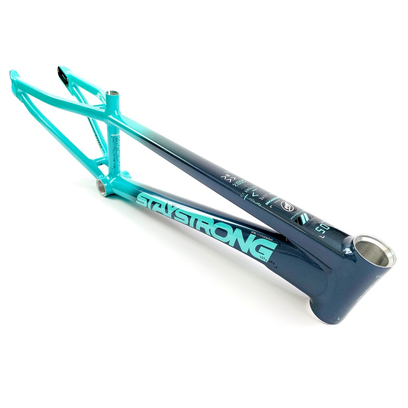 Stay Strong For Life V5 Disc Alloy BMX Race Frame-Charcoal/Mint Junior