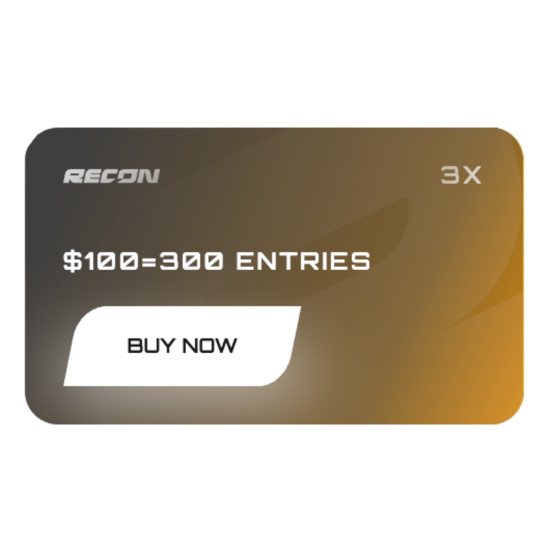 300 Entries for $100